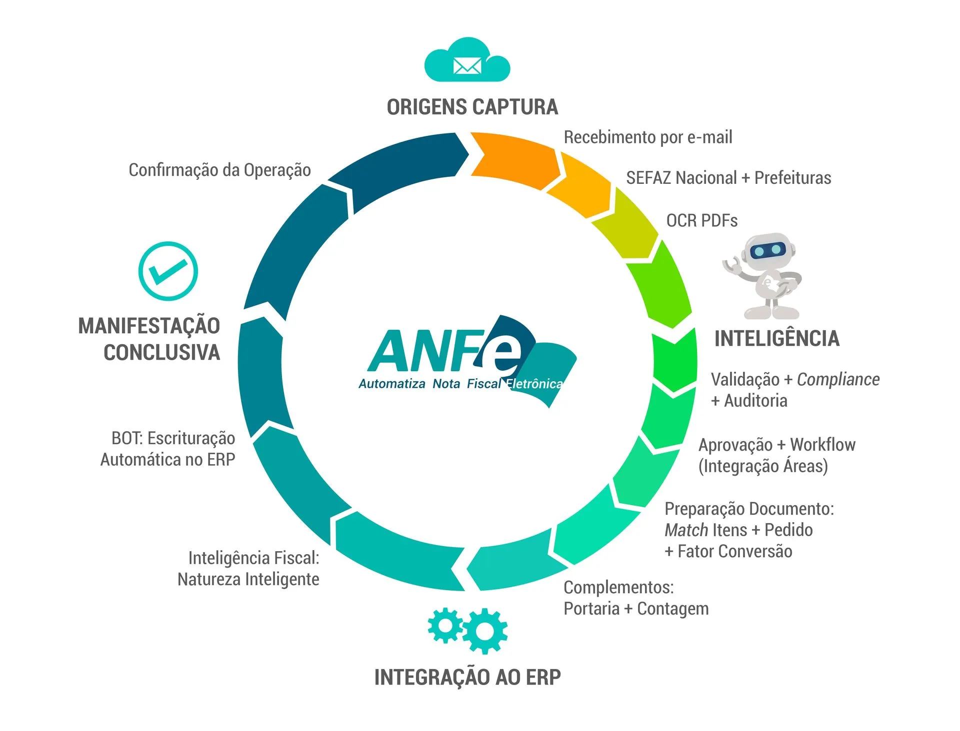 anfe ciclo de vida 1920w